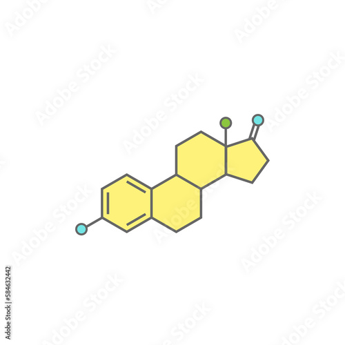 Oestrogen molecula structure. colorful line icon isolated on white background.