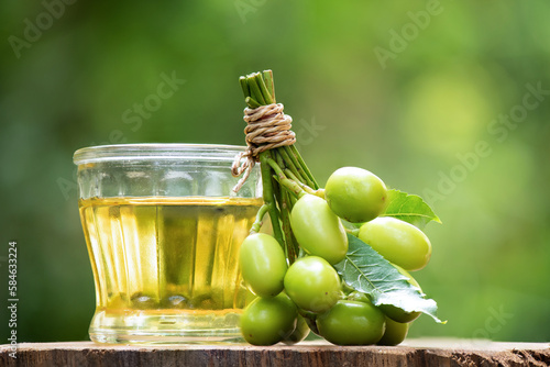 Neem or azadirachta indica fruits and oil on nature background. photo