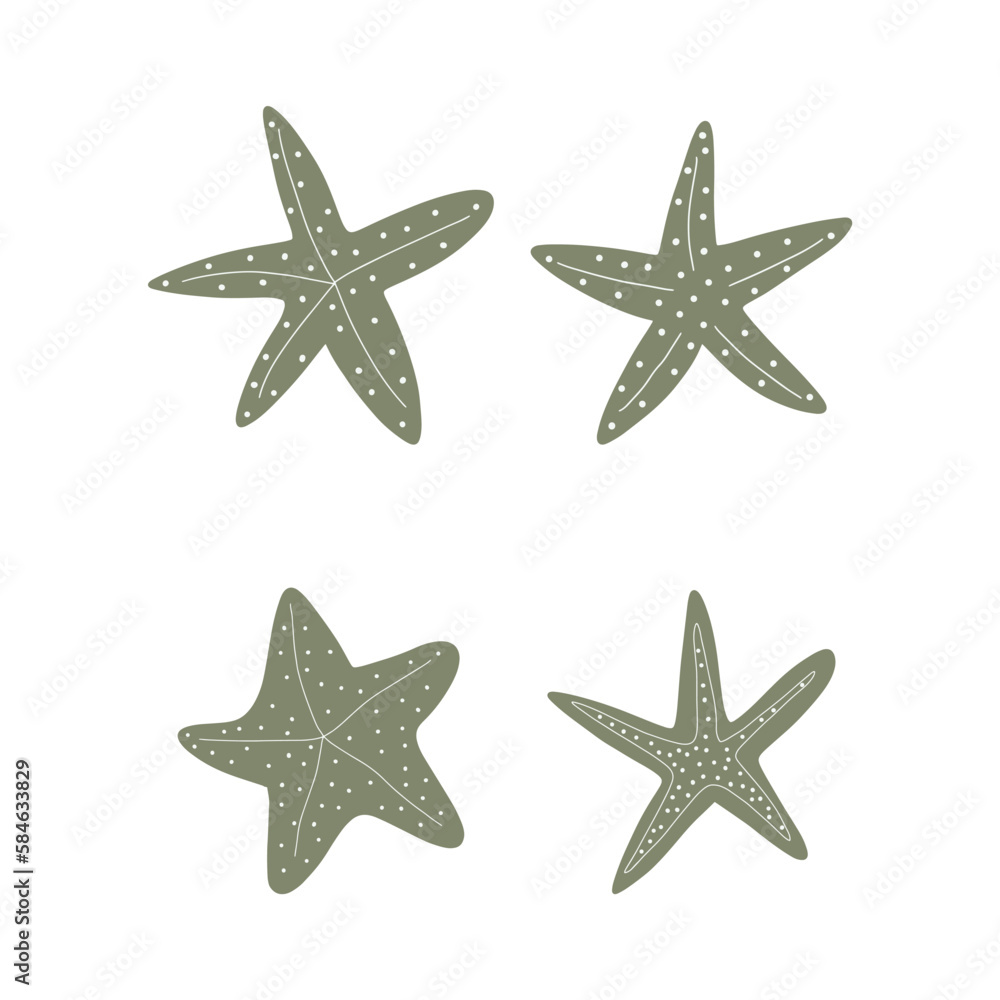 Starfish. Atlantic star. Marine Animal Vector illustration on white background. Starfish. Atlantic star. Marine Animal Vector illustration on white background.