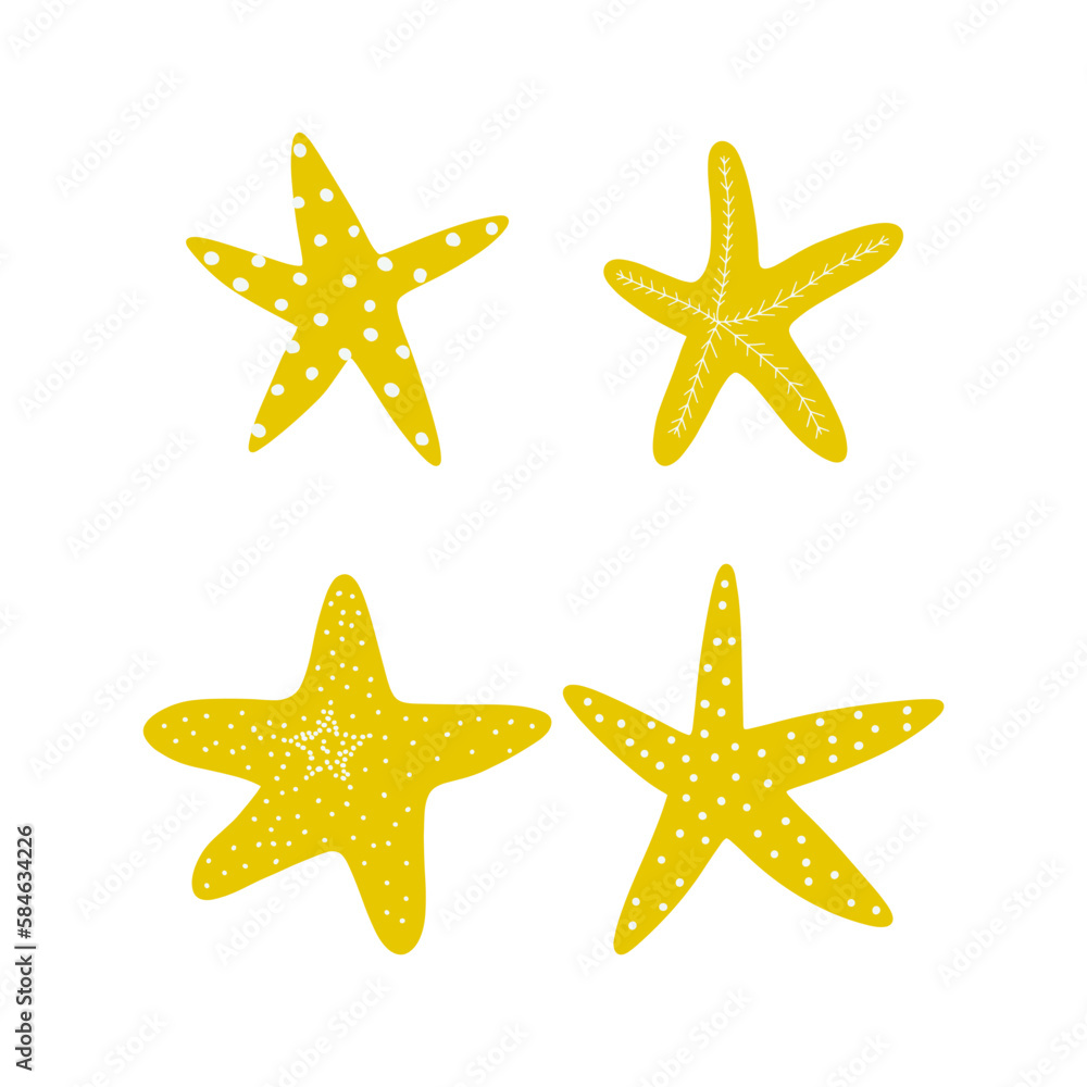 Starfish. Atlantic star. Marine Animal Vector illustration on white background. Starfish. Atlantic star. Marine Animal Vector illustration on white background.