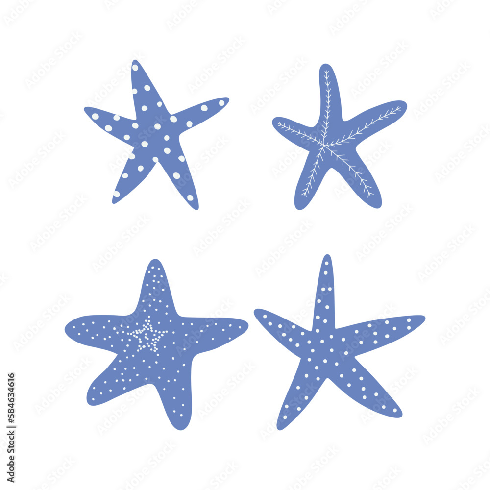 Starfish. Atlantic star. Marine Animal Vector illustration on white background. Starfish. Atlantic star. Marine Animal Vector illustration on white background.