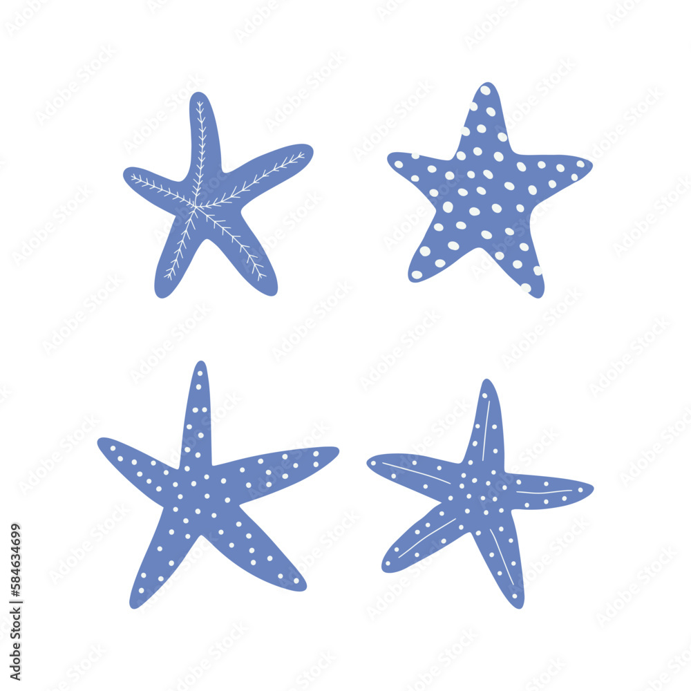 Starfish. Atlantic star. Marine Animal Vector illustration on white background. Starfish. Atlantic star. Marine Animal Vector illustration on white background.