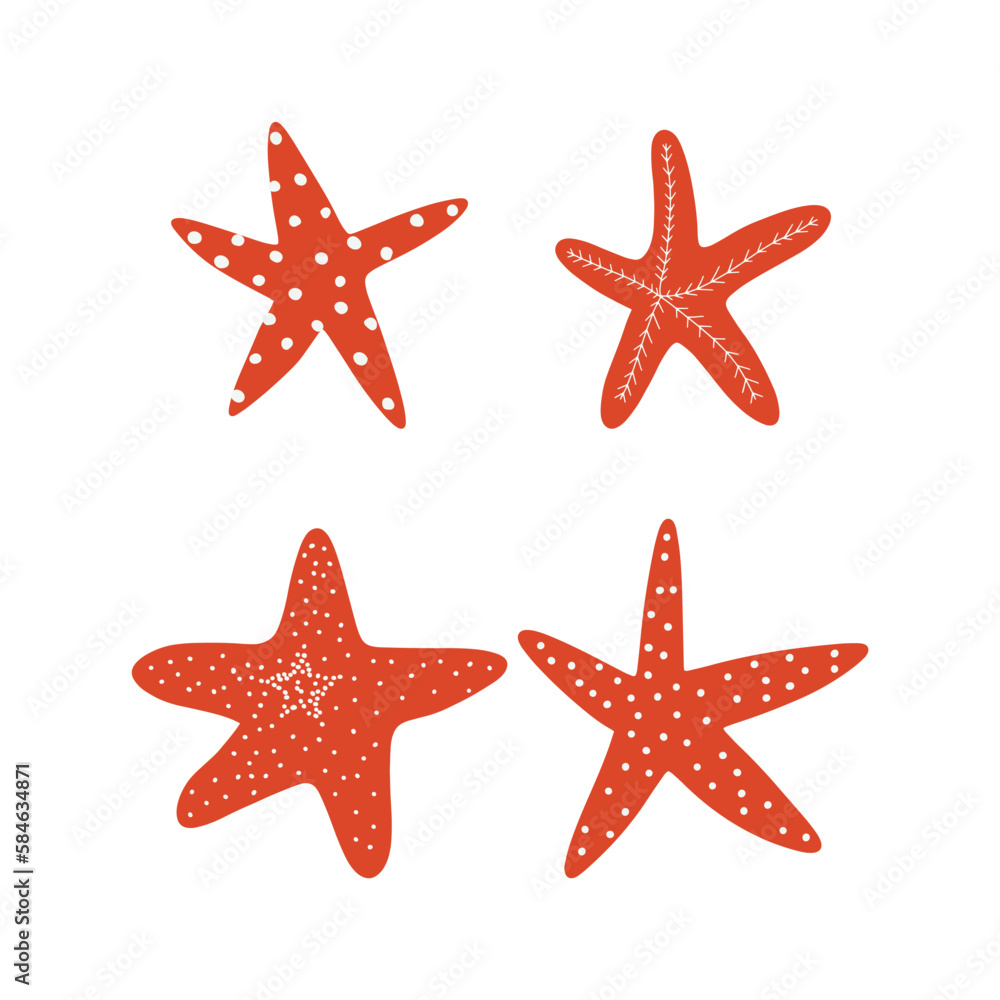 Starfish. Atlantic star. Marine Animal Vector illustration on white background. Starfish. Atlantic star. Marine Animal Vector illustration on white background.