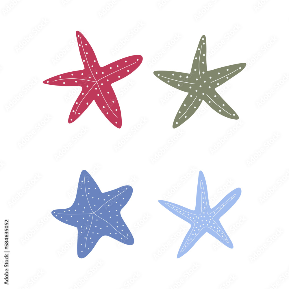 Starfish. Atlantic star. Marine Animal Vector illustration on white background.