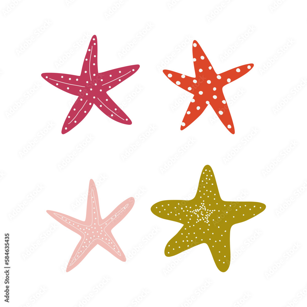 Starfish. Atlantic star. Marine Animal Vector illustration on white background. Starfish. Atlantic star. Marine Animal Vector illustration on white background.