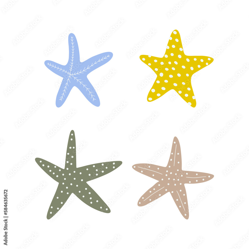 Starfish. Atlantic star. Marine Animal Vector illustration on white background. Starfish. Atlantic star. Marine Animal Vector illustration on white background.