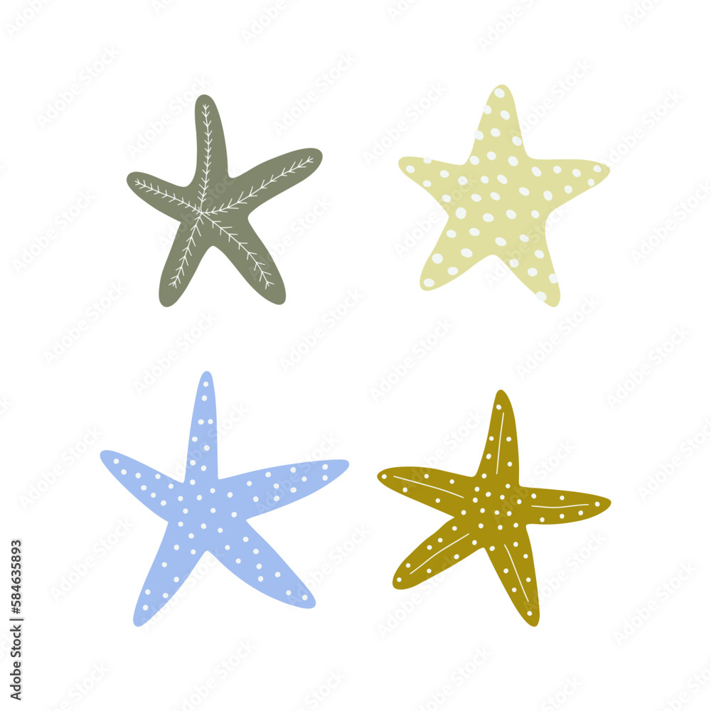 Starfish. Atlantic star. Marine Animal Vector illustration on white background.