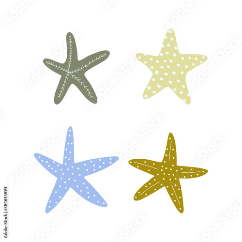 Starfish. Atlantic star. Marine Animal Vector illustration on white background.