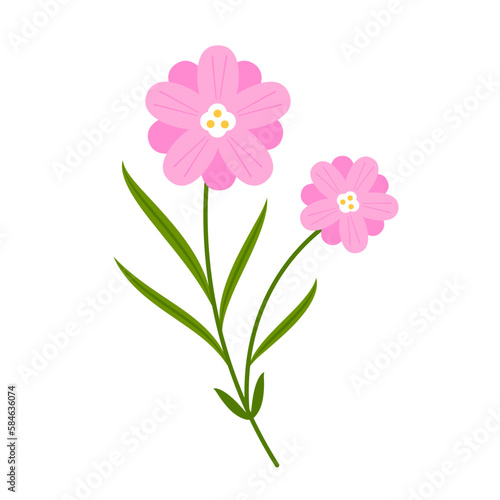 Violet crocus flowers in pot with leaves isolated on white. Cartoon first spring flower used for magazine, poster. © Supakorn