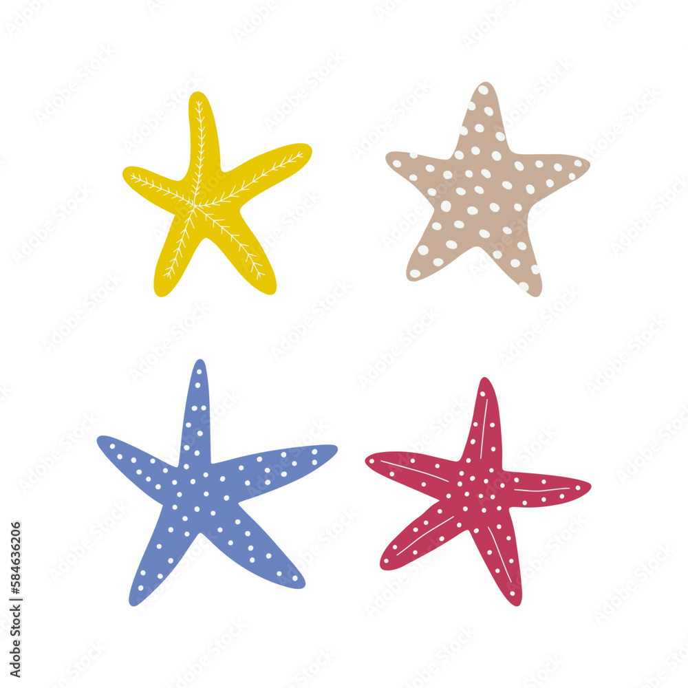 Starfish. Atlantic star. Marine Animal Vector illustration on white background. Starfish. Atlantic star. Marine Animal Vector illustration on white background.