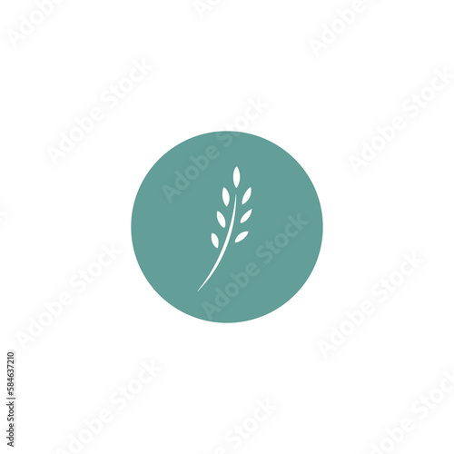 ear of wheat, barley or rye. White icon in blue circle isolated on white. Eco button. agriculture, nature firm, ecology, healthy organic and farm fresh food symbol. Vector Illustration