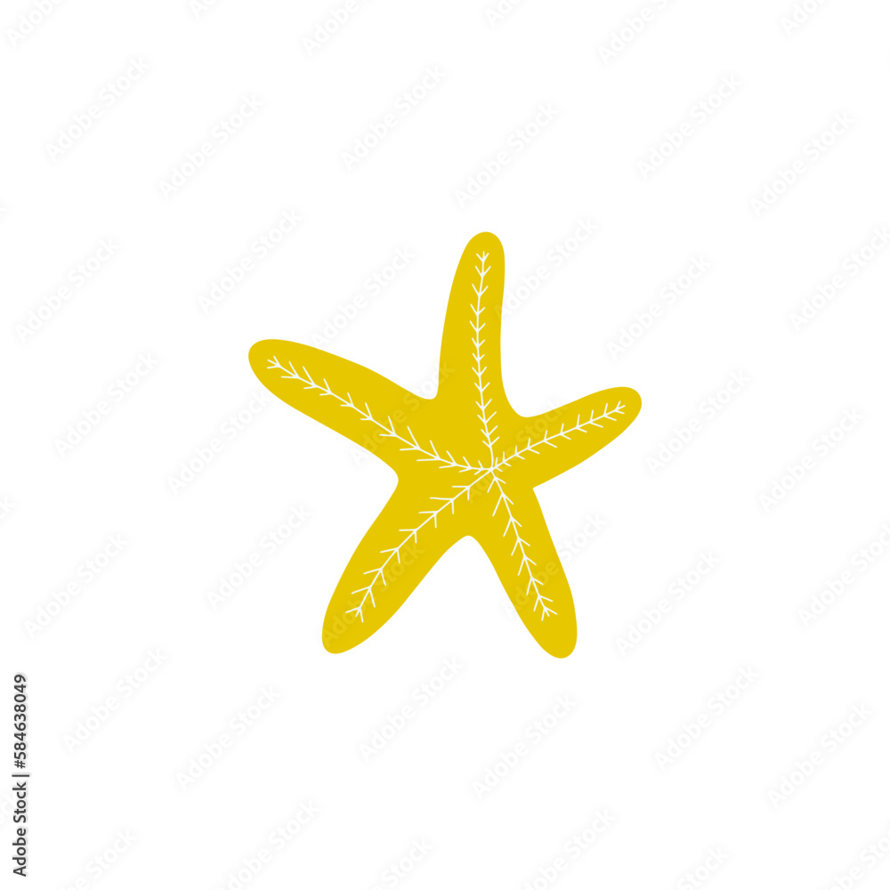 Starfish. Atlantic star. Marine Animal Vector illustration on white background. Starfish. Atlantic star. Marine Animal Vector illustration on white background.