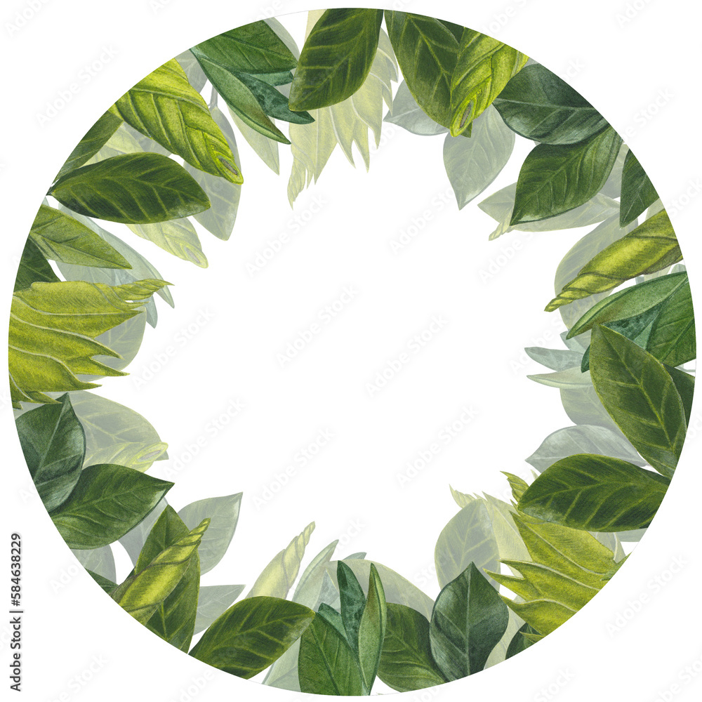 Fototapeta premium Watercolor leaves, stems and shoots of zamiokulkas