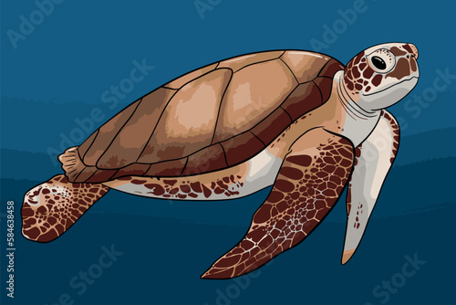 Sea turtle