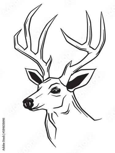 Illustration of deer © Josef