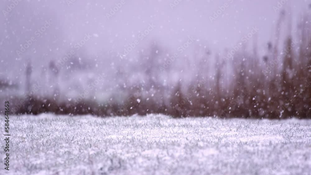 Beautiful Snow Fall on Peaceful Empty Meadow, Slow Motion Beautiful Snow Fall on Peaceful Empty Meadow, Slow Motion
