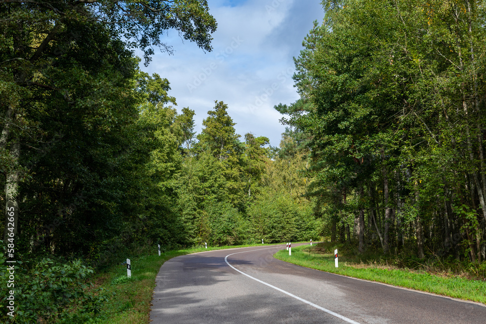 An empty two-lane asphalt road in a summer green sunny forest. White markings on the road, reflective bollards on the side of the road. A road turn to the right. Bright sunshine, sky with clouds.