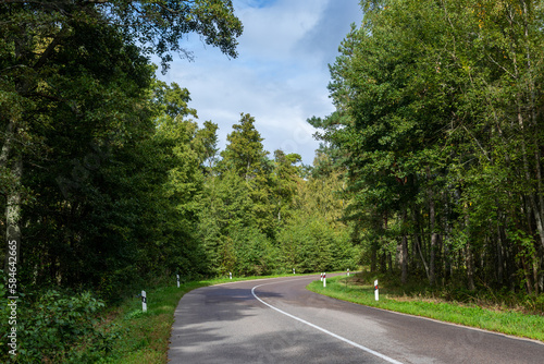 An empty two-lane asphalt road in a summer green sunny forest. White markings on the road, reflective bollards on the side of the road. A road turn to the right. Bright sunshine, sky with clouds.