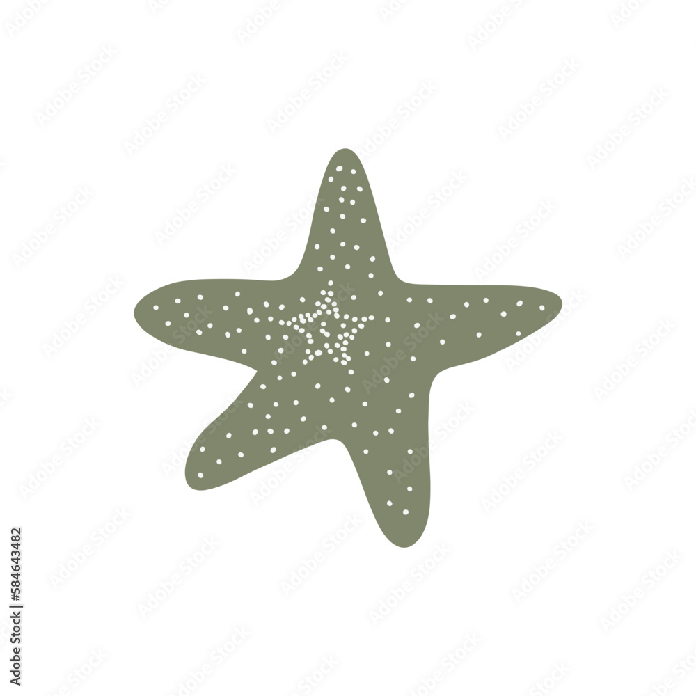 Obraz premium Starfish. Atlantic star. Marine Animal Vector illustration on white background.