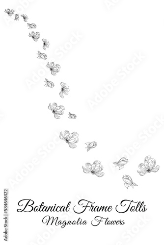 magnolia line flow of flower petals flowers. frame and pink background vector illustration.