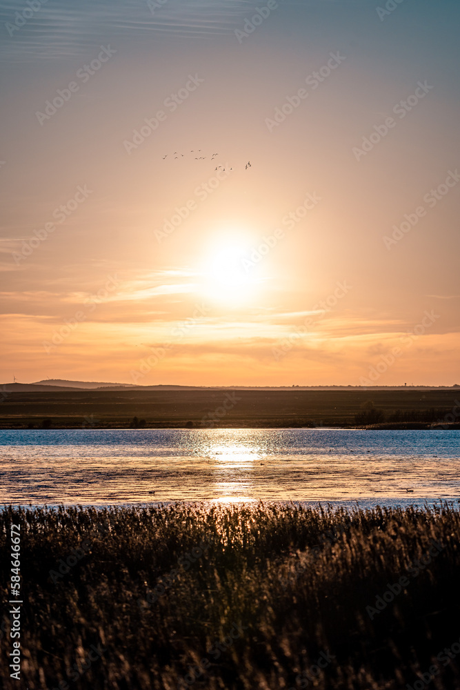 Obraz premium sunset on the beach