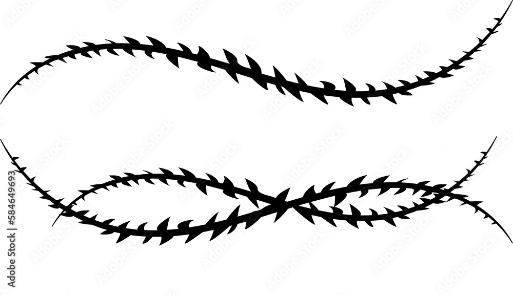 Vector image of a vine with thorns. Barbed wire. Vector image of a vine with thorns. Barbed wire.