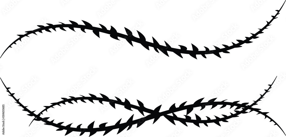 Vector image of a vine with thorns. Barbed wire. Vector image of a vine with thorns. Barbed wire.