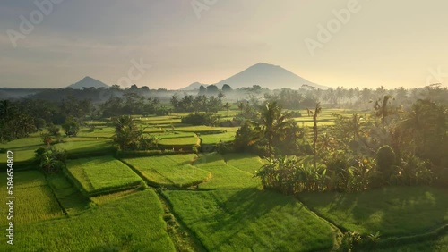 Cinematic drone scene of rice fields on background majestic volcano Gunung Agung or Mount Agung at sunrise located in the district of Karangasem, Bali, Indonesia. 4K Aerial Agriculture Tourism Texture photo