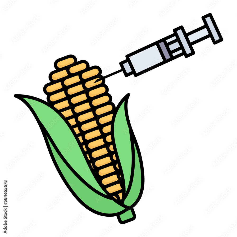 genetically modified maize