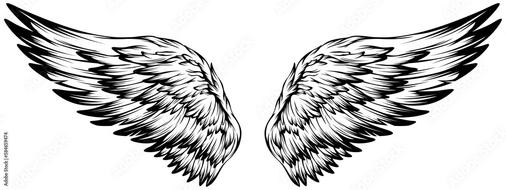 Bird wings illustration tattoo style. Hand drawn design element. Bird wings illustration tattoo style. Hand drawn design element.