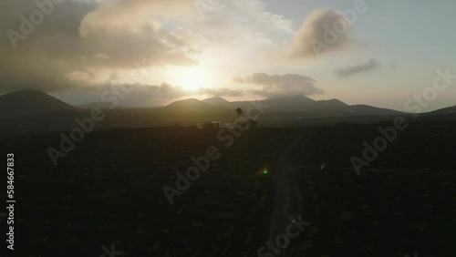 Wallpaper Mural viñedos sobre terreno volcánico desde punto de vista aéreo Torontodigital.ca