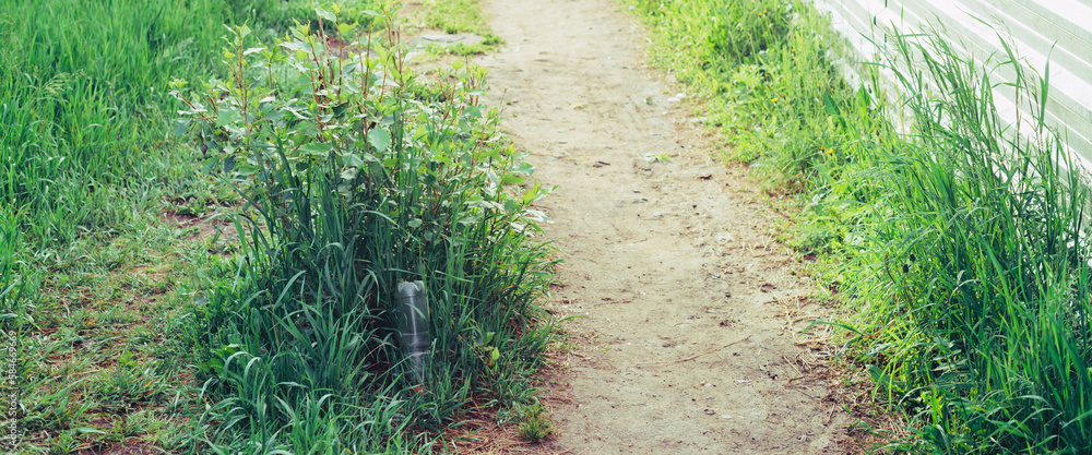 Plastic bottle in grass. Garbage among plants. Toxic plastic into nature everywhere. Rubbish in park among vegetation. Contaminated soil. Environment pollution. Ecological issue. Throw trash anywhere. Plastic bottle in grass. Garbage among plants. Toxic plastic into nature everywhere. Rubbish in park among vegetation. Contaminated soil. Environment pollution. Ecological issue. Throw trash anywhere.