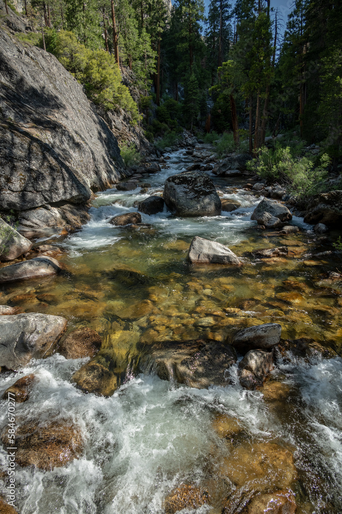 Obraz premium Tuolumne River Flows Down From Dark Forest