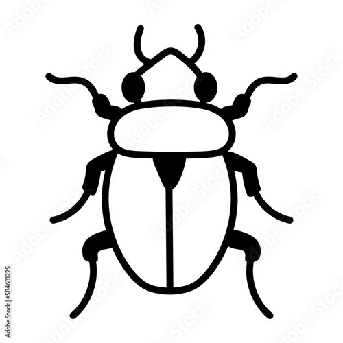 Scarab Beetle 