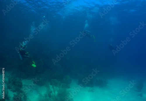 some divers in a coral reef with crystal clear waters