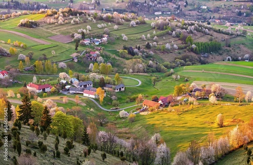 Romantic view of fields with traditional ecological cultivation. Spring blooming landscape with lush greenery. Beautiful view of green fields and meadows at sunset 