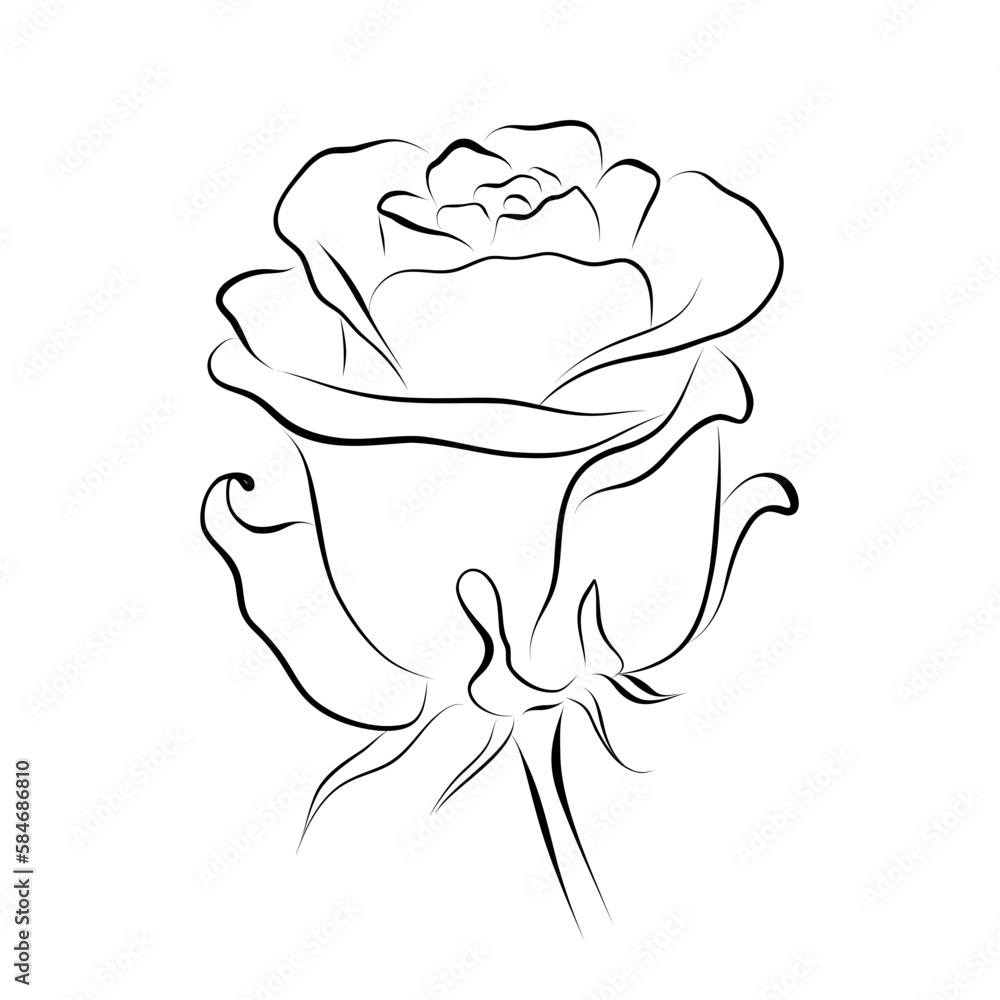 Continuous line drawing. line art rose Vector Continuous line drawing. line art rose Vector