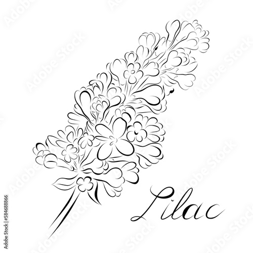 Continuous line drawing. line art lilac Vector