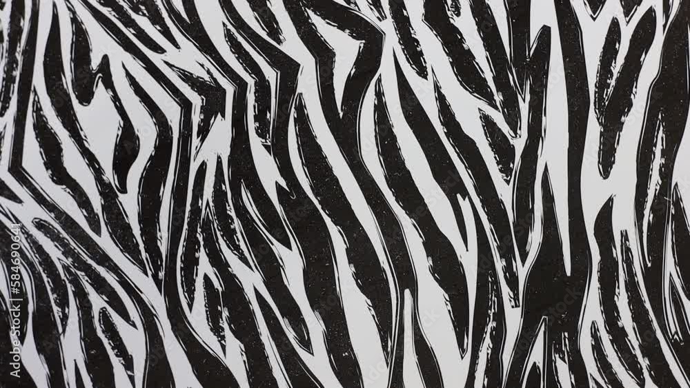 Zebra Skin Pattern Abstract Wallpaper Background Black White Motion Zebra Skin Pattern Abstract Wallpaper Background Black White Motion