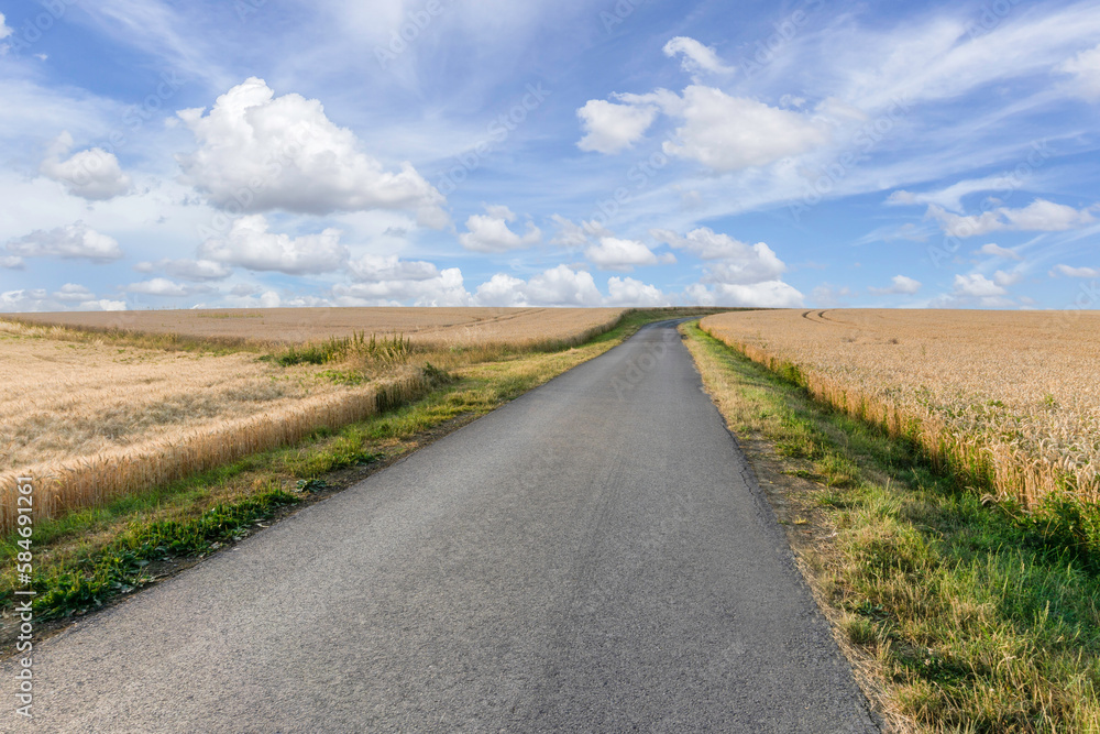 Blue sky and a sloped barley field are framed by an asphalt road.