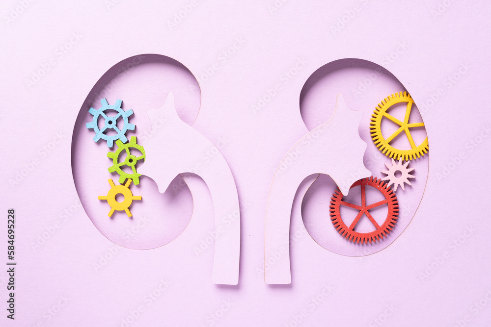World Kidney Day. Kidney shaped paper. National Organ Donor Day. Kidney health concept. top view banner. copy space World Kidney Day. Kidney shaped paper. National Organ Donor Day. Kidney health concept. top view banner. copy space