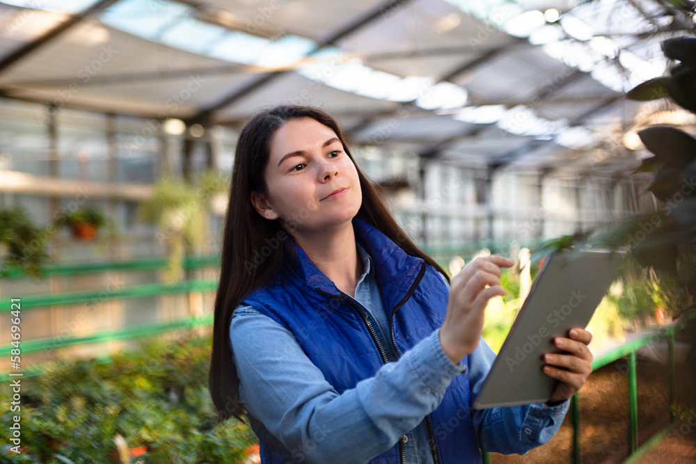 Woman working in greenhouse checking plants with tablet.