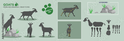 Goat vector ready to rig for animation. Black mountain goat collection  multiple poses  cute character. 