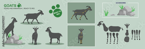 Goat vector ready to rig for animation. Black mountain goat collection, multiple poses, cute character. 