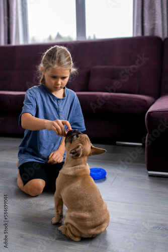 child playing with little dog, girl sitting with french bulldog puppy