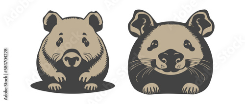 Vector set of funny cute wombat animals. Isolated white background. Icons, stickers or badges.
