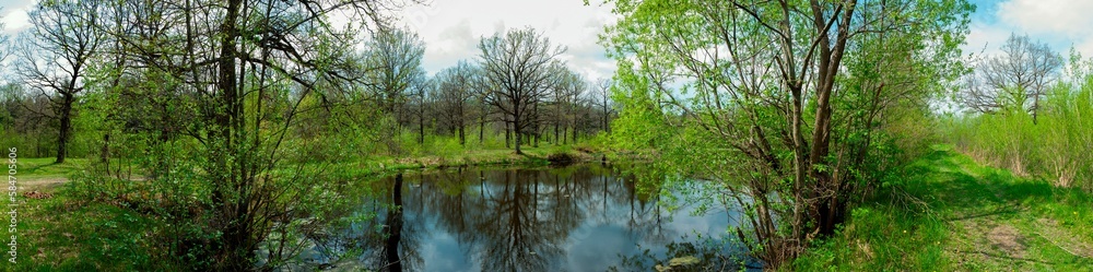 Panorama of forest lakes in spring, young leaves and freshly blossomed buds of trees and shrubs Panorama of forest lakes in spring, young leaves and freshly blossomed buds of trees and shrubs