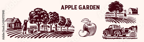 Photo apple orchard vector illustration set, apple farm, apple harvest, apple picking in apple orchard