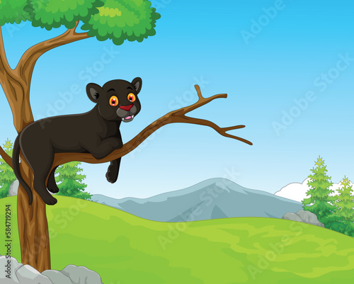 Black Panther In the Tree