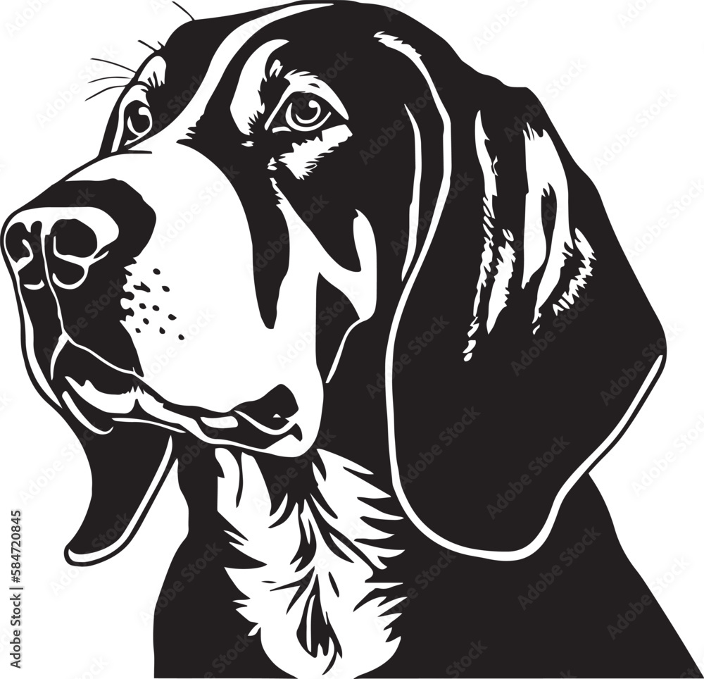 COONHOUND dog face isolated on a white background, SVG, Vector, Illustration.	